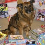 Shadow surrounded by books
