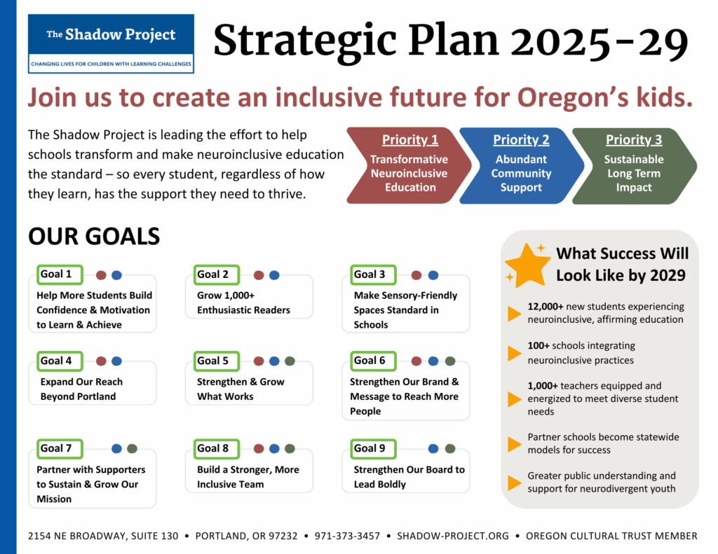 strategic plan executive summary from the shadow project